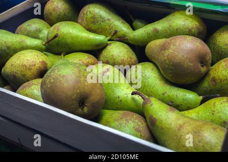 Frischbirne Konferenz auf dem Segel auf dem Gemüsemarkt. Hochwertige Fotos Stockfoto