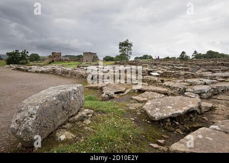 Roman Vindolanda Standort an Hadrians Wand im Northumberland National Park. Stockfoto