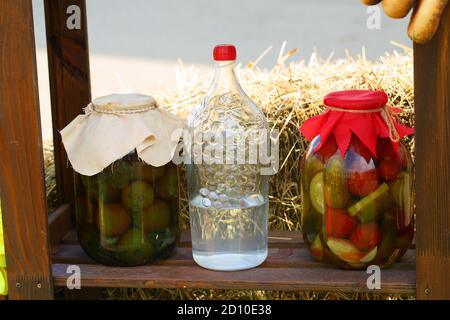 Tomaten und Gurken aus der Dose in Gläsern Stockfoto