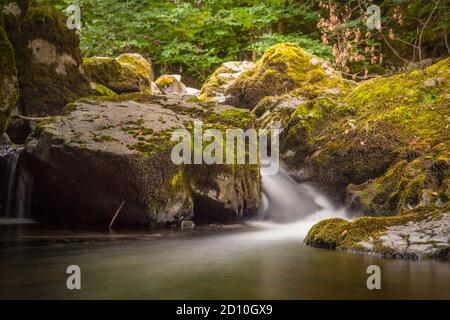 Wasser fließt die Wasserfälle von Aira Force, einem National Trust Standort im Lake District, England, mit einer langen Exposition aufgenommen. Stockfoto