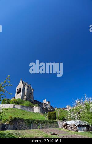 Europa, Luxemburg, Larochette, Chateau Fort Larochette (Larochette Castle) über Schrebergürzen Stockfoto