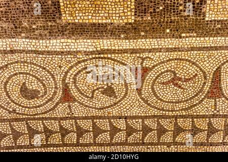 Der kleine Vogel am Rand eines Mosaiks in der römischen Villa von Fishbourne gilt als das Markenzeichen des Mosaiks. Stockfoto