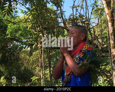 Nueva Loja, Sucumbios / Ecuador - 2. September 2020: Älterer einheimischer Schamane von Cofan Nationalität, der mit verbundenen Händen und geschlossenen Augen betet Stockfoto
