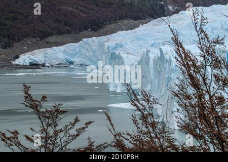 Ausflug von El Calafate, 80 km nördlich, zur beeindruckenden Eisfront des Glaciar Perito Moreno. Die Eisfront ist sehr aktiv und Kälber. Stockfoto