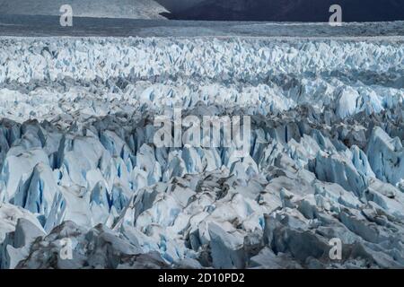 Ausflug von El Calafate, 80 km nördlich, zur beeindruckenden Eisfront des Glaciar Perito Moreno. Die Eisfront ist sehr aktiv und Kälber. Stockfoto