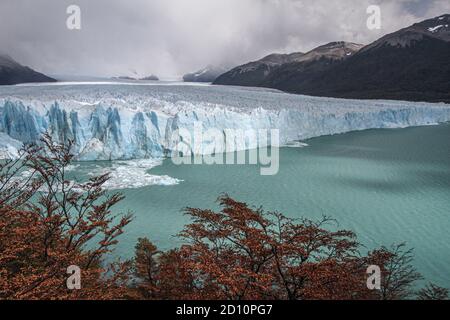 Ausflug von El Calafate, 80 km nördlich, zur beeindruckenden Eisfront des Glaciar Perito Moreno. Die Eisfront ist sehr aktiv und Kälber. Stockfoto