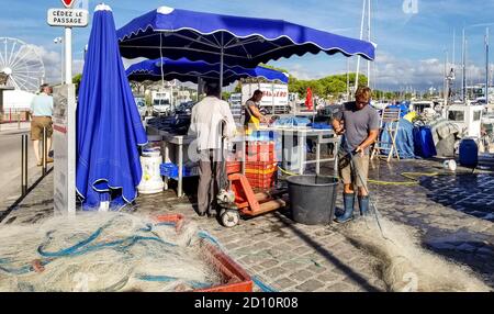 Fischer reinigen ihre Netze und arbeiten an ihren frisch gefangenen Fisch an einem Stand im Freien entlang der Marina in Antibes Juan-les-Pins auf der Cote d'Azure Fre Stockfoto