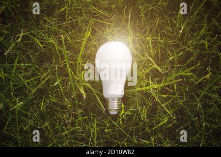 Alternative Technologie Konzept. Glühbirne in grüner Natur in hellem Licht. Platz für Text kopieren Stockfoto