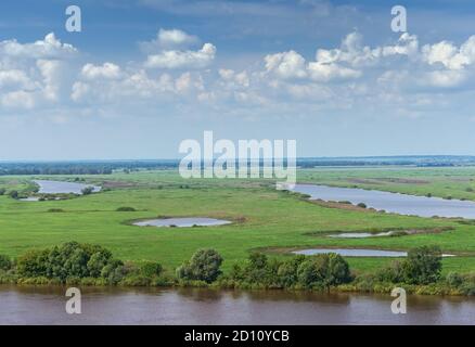 Wiesen entlang des Flusses Oka. Region Rjasan, Zentralrussland Stockfoto