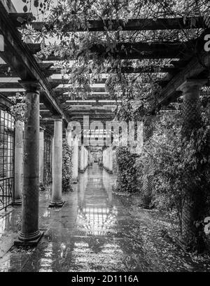 Schwarz-Weiß-Bild des Herbstes im Hill Garden und Pergola im Regen in London. Stockfoto