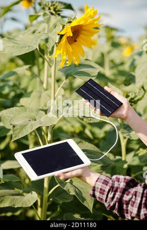 Hände von jungen Farmerin halten digitale Tablet angeschlossen Solarbatterie Stockfoto