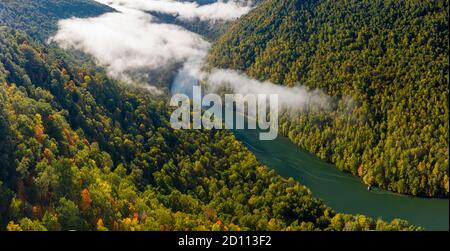 Luftdrohnenaufnahme des Cheat-Flusses, der im Herbst durch eine enge bewaldete Schlucht in Richtung Cheat Lake bei Morgantown, WV fließt Stockfoto