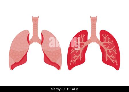 Lungs-Symbol, flacher Stil. Innere Organe des menschlichen Designelements, Logo. Anatomie, Medizin Konzept. Gesundheitswesen. Isoliert auf weißem Hintergrund. Stock Vektor