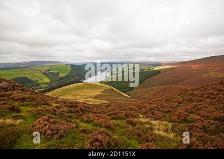 Blick entlang des Upper Derwent Valley von Whinstone Lee Tor auf Derwent Edge im Peak District National Park, England. Stockfoto