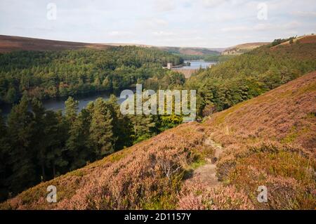 Early Autumn Blick auf Howden Reservoir & Upper Derwent Reservoir von Abbey Bank, Peak District National Park. Stockfoto