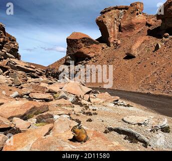 Mountain Wildtier Nagetier Viscacha Viscacia Lagidium sitzt auf Stein in der malerischen felsigen Schlucht Anden Berge Bolivien, wie ein Kaninchen. Stockfoto