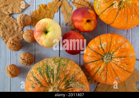 Kleine schöne Kürbisse, Walnüsse, Nektarinen, ein Apfel und trockene Herbstblätter sind auf einem blauen Holzhintergrund angelegt. Stockfoto