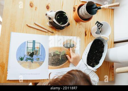 Kiew, Ukraine - 4. Oktober 2020: Kinder Wissenschaft Experiment - Kind lesen Lieblingsbuch Castor Harvey der Gärtner auf ukrainisch Lernen wachsen Samen an Stockfoto