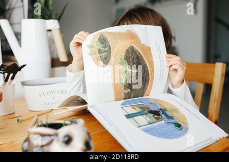 Kiew, Ukraine - 4. Oktober 2020: Kinder Wissenschaft Experiment - Kind lesen Lieblingsbuch Castor Harvey der Gärtner auf ukrainisch Lernen wachsen Samen an Stockfoto