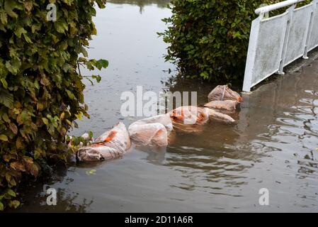 Aylesbury, Großbritannien. Oktober 2020. Sturm Alex Überschwemmungen in Aylesbury, Grafschaft Stadt Buckinghamshire. Ein Wochenende mit fast konstantem Starkregen veranlasste den Bear Brook, seine Ufer zu sprengen und den Vale Park und das Aqua Vale Swimming and Fitness Centre und seinen Parkplatz zu überfluten. Ineffektive Sandsäcke halten Hochwasser nicht zurück. Quelle: Stephen Bell/Alamy Stockfoto