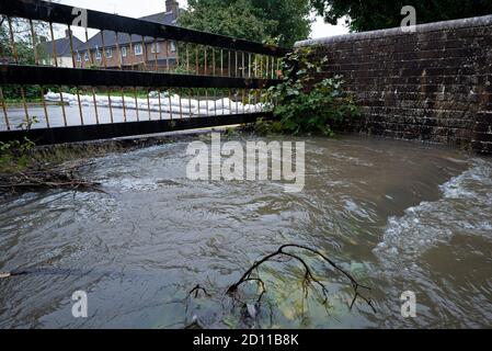 Aylesbury, Großbritannien. Oktober 2020. Sturm Alex Überschwemmungen in Aylesbury, Grafschaft Stadt Buckinghamshire. Ein Wochenende mit fast konstanten starken Regenfällen führte dazu, dass der Bear Brook seine Ufer überflutete Häuser in Southcourt Penn Road platzte. Als der fast ununterbrochene Regen nachlässt, beginnen die Bewohner den Schaden zu erreichen und beginnen aufzuräumen. Notdienste blockierten den Zugang zum überfluteten Bereich. Der Bear Brook unter einer Brücke, die zur Penn Road führt. Früher hatte es die Straße überflutet. Quelle: Stephen Bell/Alamy Stockfoto