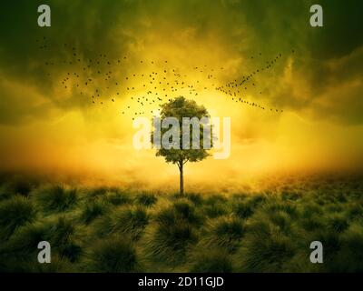 Allein Baum auf Wiese bei Sonnenuntergang mit Sonne und Nebel, natürliches ökologisches Panorama. Fantasiewelt ohne Menschen, umweltfreundliches Weltkonzept. Stockfoto