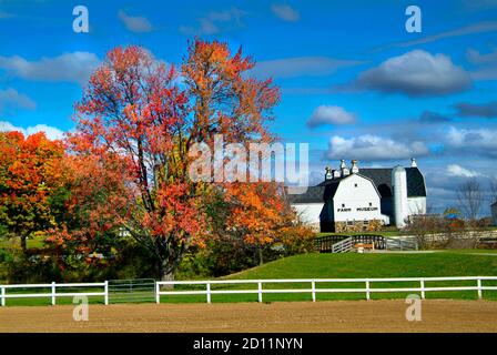 Mittlerer Westen Herbstfarbe Herbstfarmszene Einstellung in Michigan Stockfoto