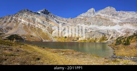 Hochauflösendes Panorama-Landschaftsbild. Wunderschöner versteckter See und goldene Herbstfarben, Skoki Region, Banff National Park, Kanadische Rocky Mountains Stockfoto
