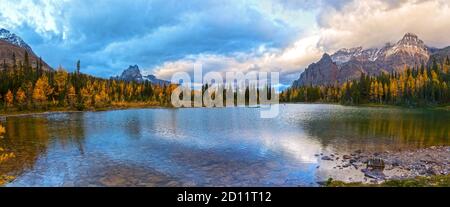 Weite Panoramalandschaft des malerischen Schaffer Sees mit Herbstfarben Auf Lärchenbäumen und dramatischen stürmischen Himmel in der Nähe von Lake O'Hara Im Yoho Nationalpark Stockfoto