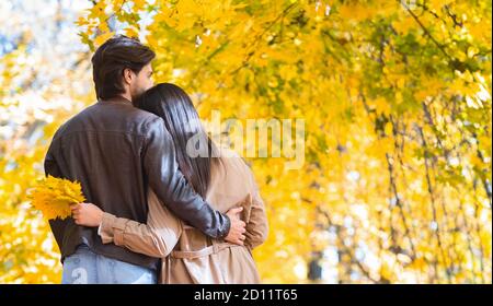 Rückansicht des Paares, das zusammen im Herbstwald spazierengeht Stockfoto