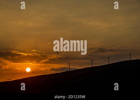 Maui, Hawaii. Windmühlen auf den West Maui Bergen bei Sonnenuntergang. Stockfoto