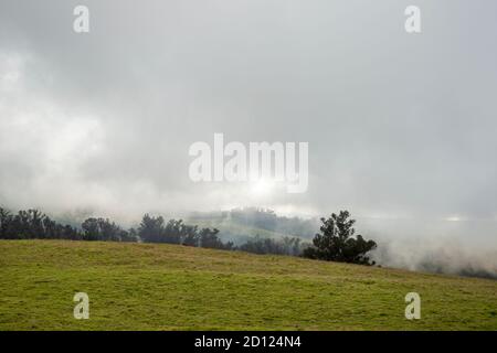 Maui, Hawaii. Im Haleakala National Park kommt es zu Nebel in der Landschaft. Stockfoto