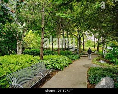 Der Toronto Music Garden, der in Zusammenarbeit mit dem bedeutenden Cellisten Yo-Yo Ma entstand, ist ein drei Hektar großer öffentlicher Park am Harbourfront von Toronto. Stockfoto