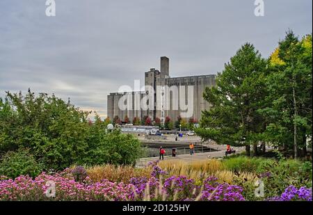 Der Toronto Music Garden, der in Zusammenarbeit mit dem bedeutenden Cellisten Yo-Yo Ma entstand, ist ein drei Hektar großer öffentlicher Park am Harbourfront von Toronto. Stockfoto