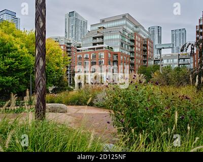 Der Toronto Music Garden, der in Zusammenarbeit mit dem bedeutenden Cellisten Yo-Yo Ma entstand, ist ein drei Hektar großer öffentlicher Park am Harbourfront von Toronto. Stockfoto