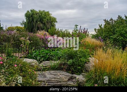 Der Toronto Music Garden, der in Zusammenarbeit mit dem bedeutenden Cellisten Yo-Yo Ma entstand, ist ein drei Hektar großer öffentlicher Park am Harbourfront von Toronto. Stockfoto