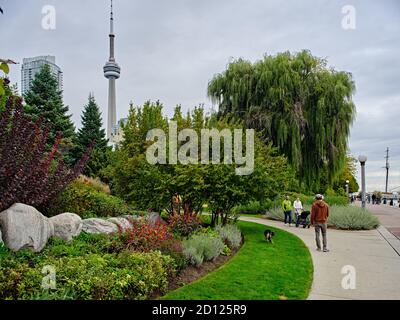 Der Toronto Music Garden, der in Zusammenarbeit mit dem bedeutenden Cellisten Yo-Yo Ma entstand, ist ein drei Hektar großer öffentlicher Park am Harbourfront von Toronto. Stockfoto