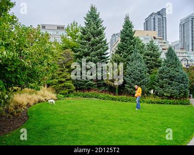 Der Toronto Music Garden, der in Zusammenarbeit mit dem bedeutenden Cellisten Yo-Yo Ma entstand, ist ein drei Hektar großer öffentlicher Park am Harbourfront von Toronto. Stockfoto