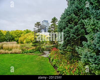 Der Toronto Music Garden, der in Zusammenarbeit mit dem bedeutenden Cellisten Yo-Yo Ma entstand, ist ein drei Hektar großer öffentlicher Park am Harbourfront von Toronto. Stockfoto