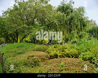 Der Toronto Music Garden, der in Zusammenarbeit mit dem bedeutenden Cellisten Yo-Yo Ma entstand, ist ein drei Hektar großer öffentlicher Park am Harbourfront von Toronto. Stockfoto