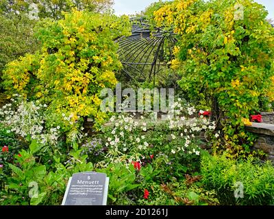 Der Toronto Music Garden, der in Zusammenarbeit mit dem bedeutenden Cellisten Yo-Yo Ma entstand, ist ein drei Hektar großer öffentlicher Park am Harbourfront von Toronto. Stockfoto