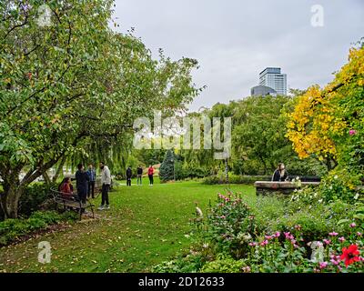 Der Toronto Music Garden, der in Zusammenarbeit mit dem bedeutenden Cellisten Yo-Yo Ma entstand, ist ein drei Hektar großer öffentlicher Park am Harbourfront von Toronto. Stockfoto