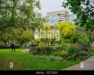 Der Toronto Music Garden, der in Zusammenarbeit mit dem bedeutenden Cellisten Yo-Yo Ma entstand, ist ein drei Hektar großer öffentlicher Park am Harbourfront von Toronto. Stockfoto