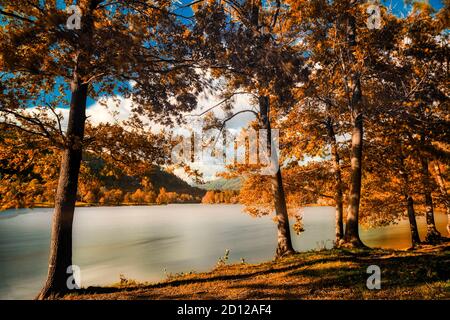 Herbstfarben im Wald mit See von Ghirla in der Nähe der Stadt Varese, Langzeitbelichtung Stockfoto