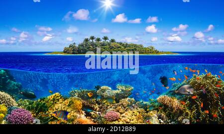 Schöner sonniger tropischer Strand auf der Insel Paradies und Unterwasserwelt mit Korallenfischen. Stockfoto