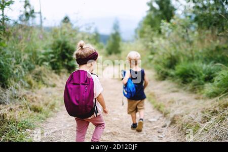 Rückansicht von kleinen Kindern Wandern im Freien im Sommer Natur. Stockfoto