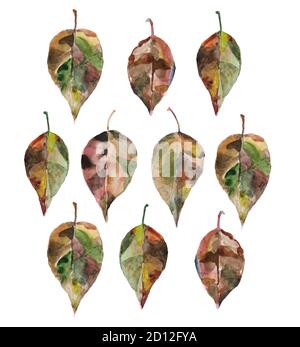 Aquarellblätter auf weißem Hintergrund. Set für Karten, Deckel Stockfoto