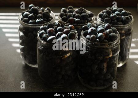 Heidelbeeren in Gläsern zur Konservierung. Beeren auf Küchentisch im Sonnenlicht. Stockfoto