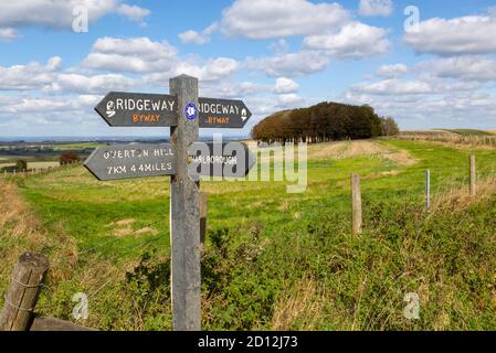 Ridgeway Langstrecken-Fußweg Wegweiser auf Kreide Scarp Hang Hackpen Hill, Wiltshire, England, Großbritannien Stockfoto