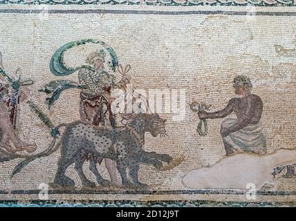 Das Haus der Dionysos Mosaiken, Paphos Archaelogical Park, Zypern: Der Triumph des Dionysos, "Vintage Scenes" Mosaiken. Stockfoto